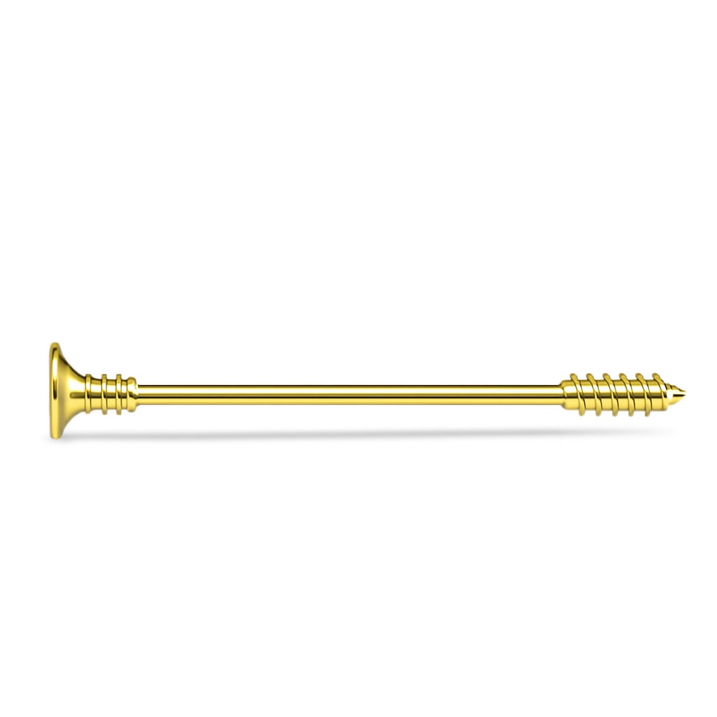 Gold Screw Design Industrial Barbell Earring 14g 18k Gold Surgical Steel 18$